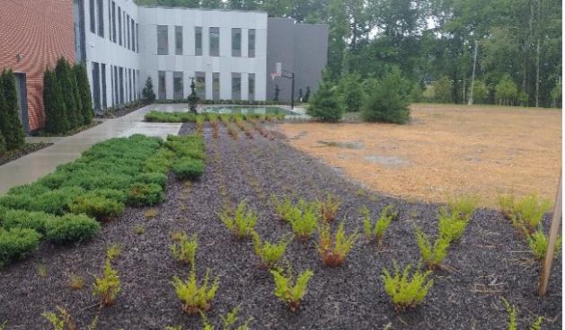 landscaping-hospital-sheppard-pratt