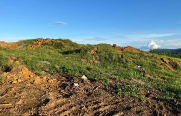 Environmental Assessments