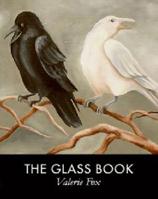 The Glass Book