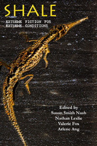 SHALE: Extreme Fiction