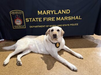 Fire-Marshall-Dog-Education-the-fire-Museum-of-Maryland